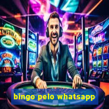 bingo pelo whatsapp